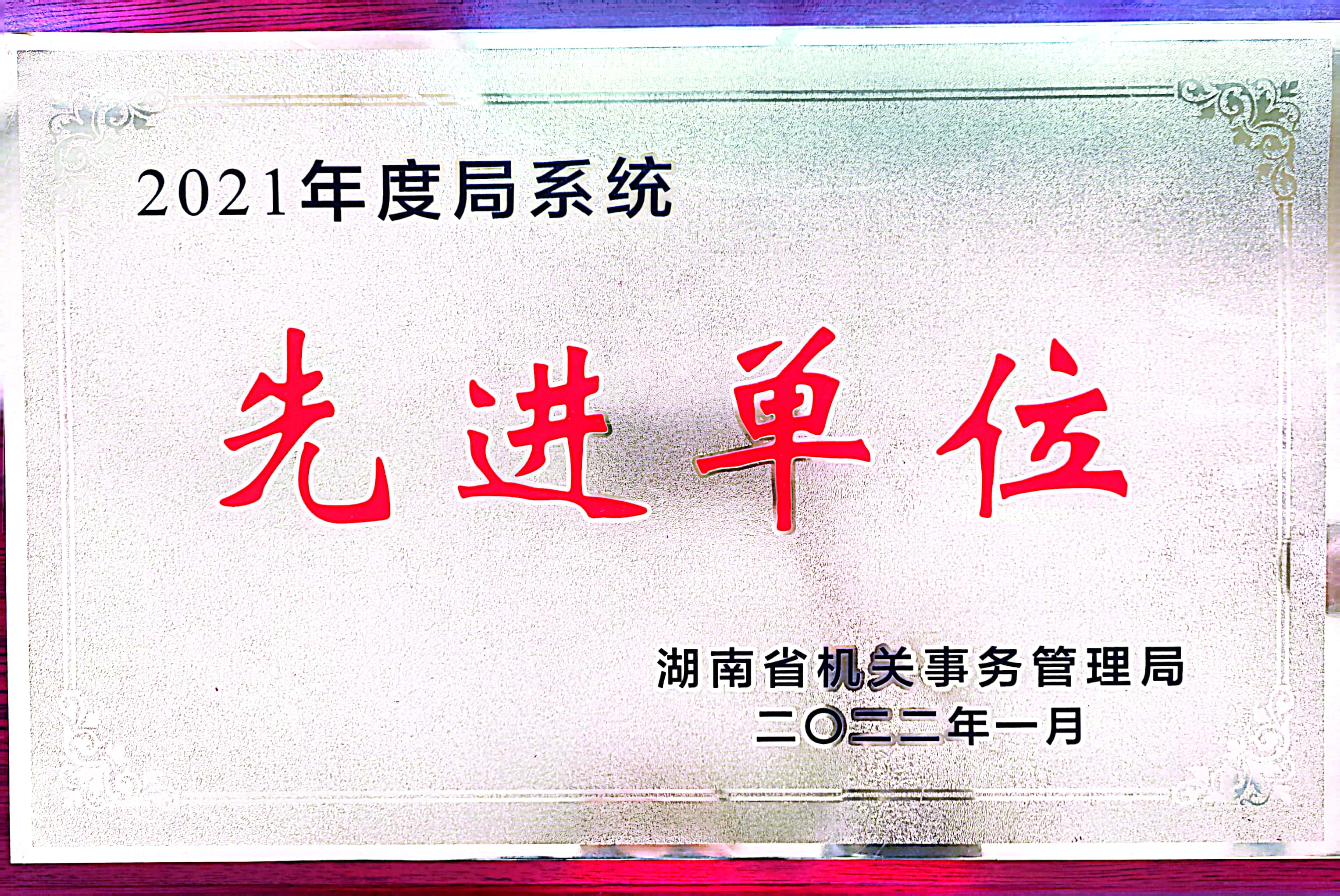 2021年度湖南省机关事务管理局系统先进单位